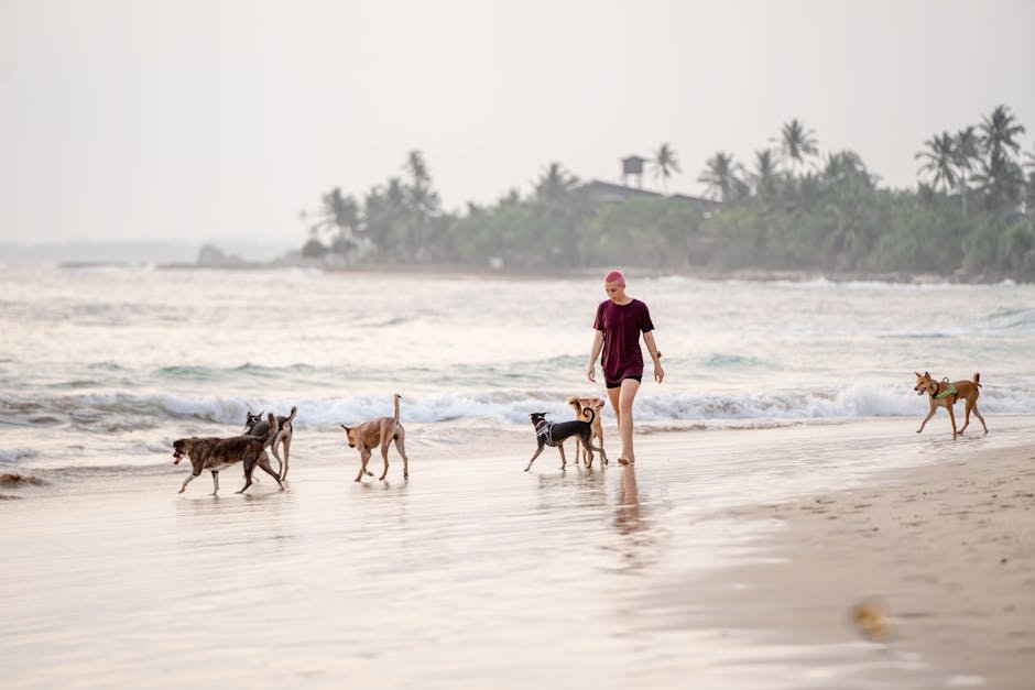Natural Dog Anxiety Supplements: Do They Really Work?